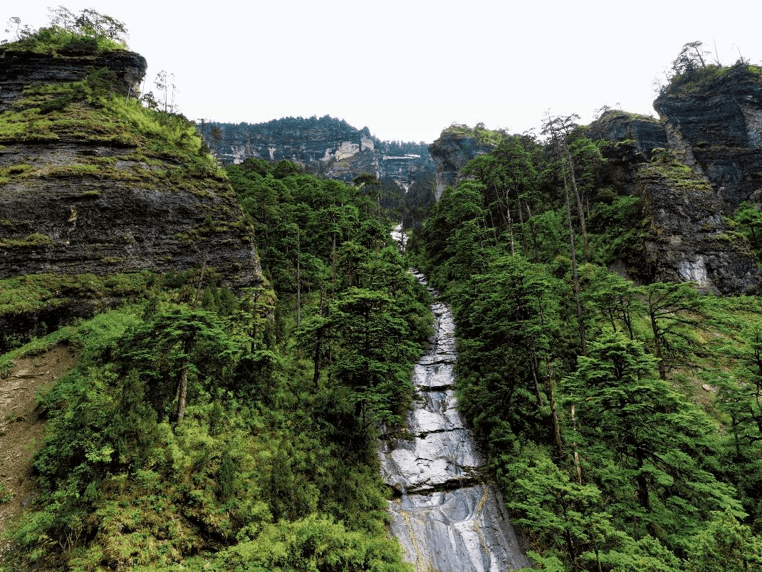 黑竹沟之谜 诡异的四川禁地黑竹沟